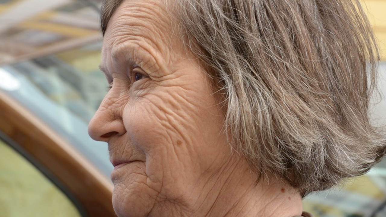 Научные специалисты из Китая пролили свет на ра...