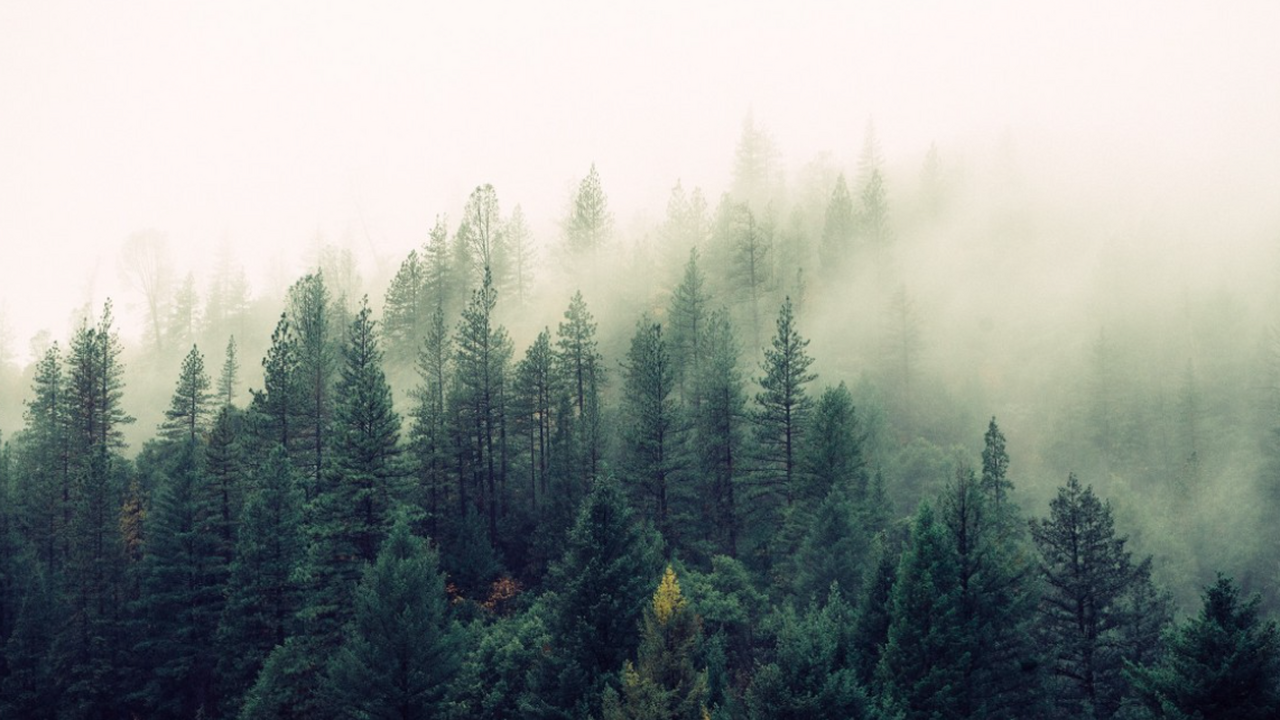 Учёные Пермского Политеха предложили инновацион...