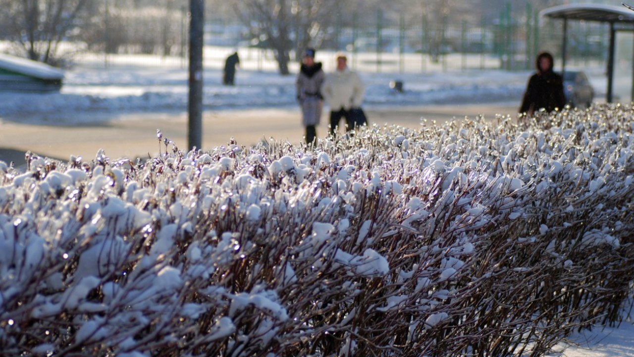 Прощаемся с мечтами о теплой весне: Вильфанд предупредил о новой волне холодов в марте Синоптики предупреждают о возможной новой волне...
