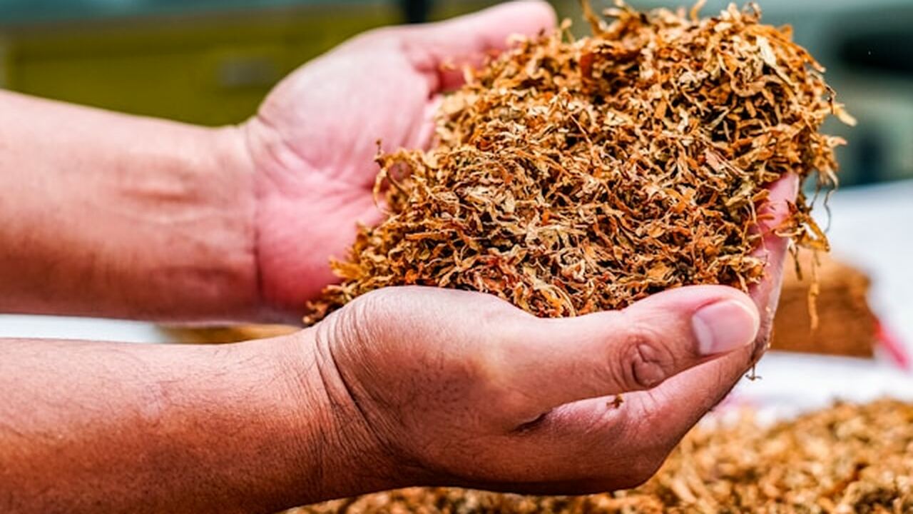 Димитровградский городской суд удовлетворил иск...