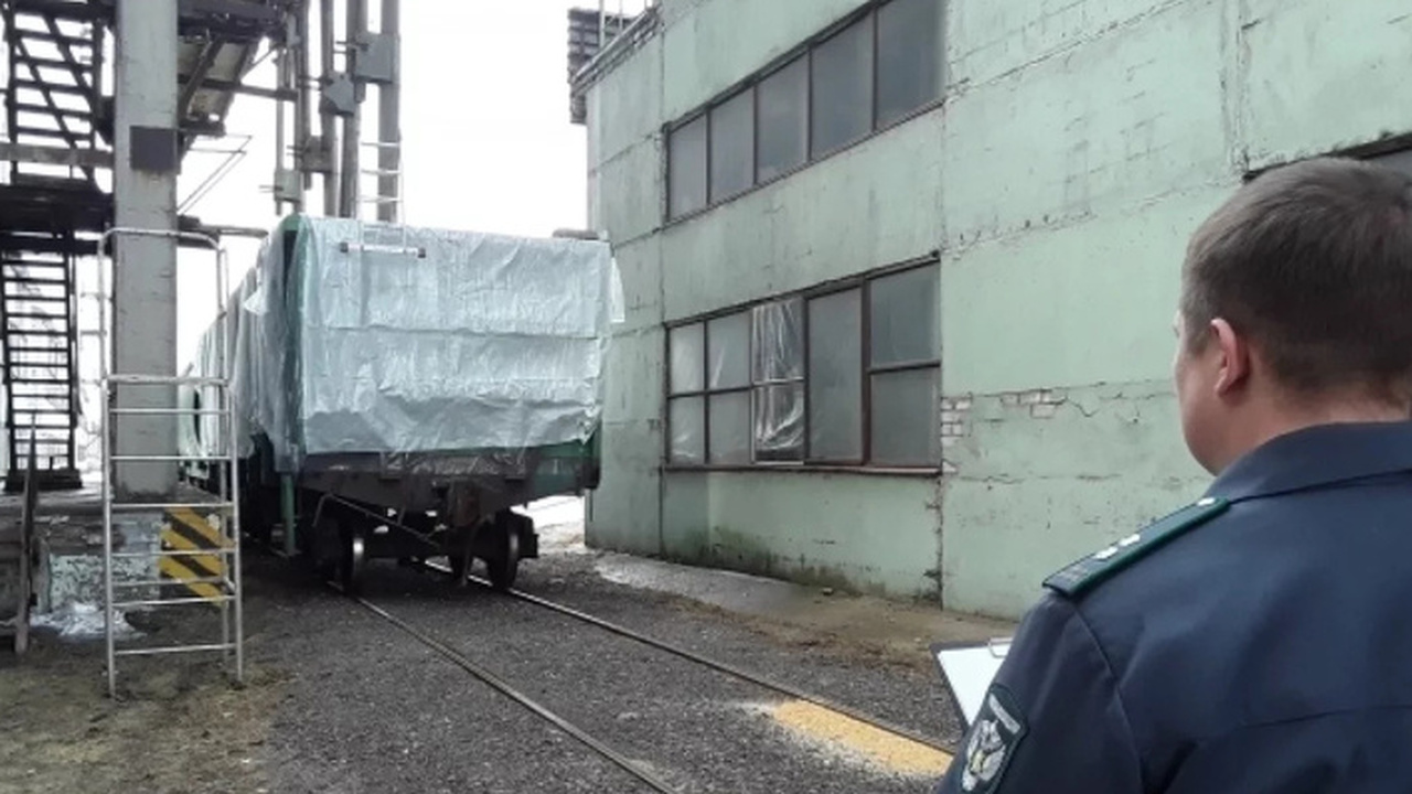 С начала 2026 года управление Россельхознадзора...