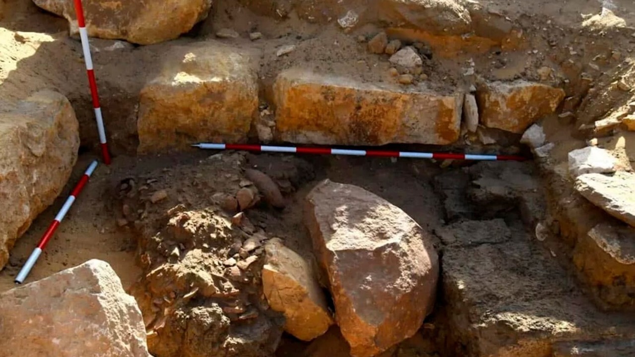 CE&E: Хараппская цивилизация не пропала, а изменилась из-за климата Исследователи представили новую интерпретацию п...