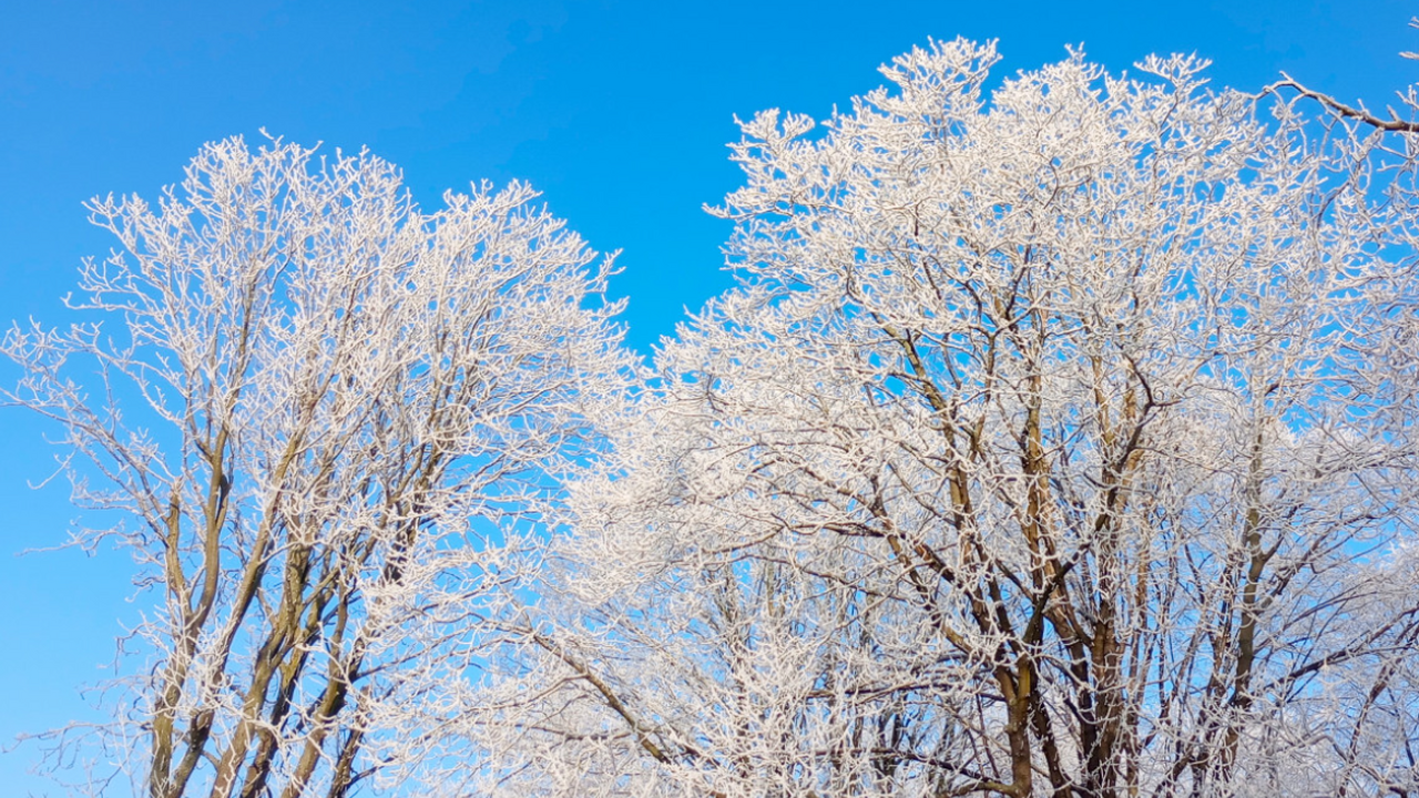 Волна холодов накроет европейскую часть России: Вильфанд сказал, когда закончится тепло В ближайшие ночи в европейской части России ожи...