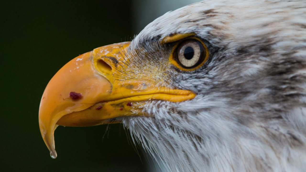 Исследование показало, что радиационный фон вли...