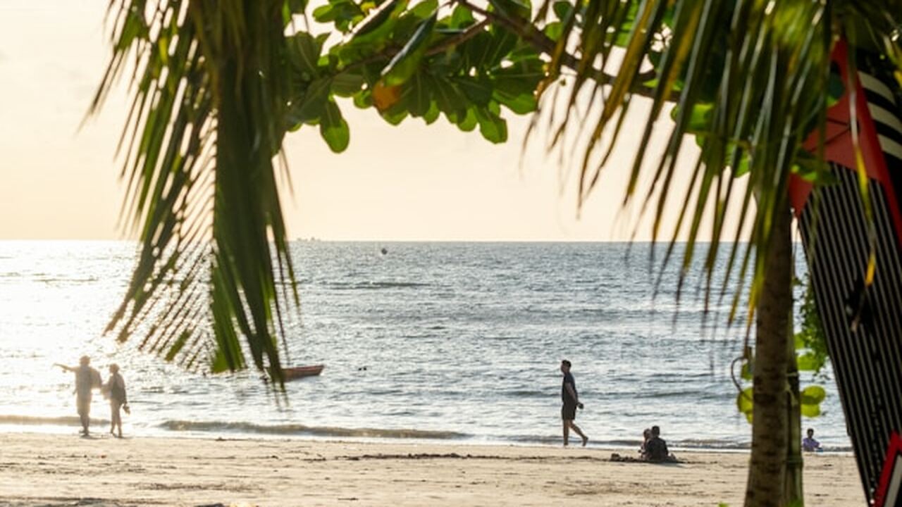 Власти Саудовская Аравия продолжают развивать т...