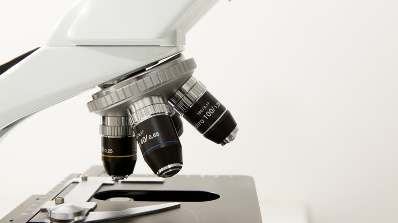 Новое исследование проливает свет на ранние ста...