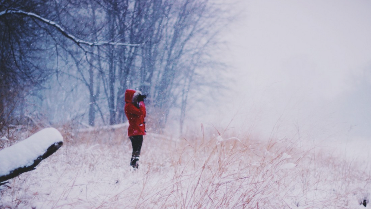 В последний раз такая зима была в 1779 году: синоптики подготовили прогноз на начало 2026 года Зима 2025–2026 года не станет «тёплой» в привыч...