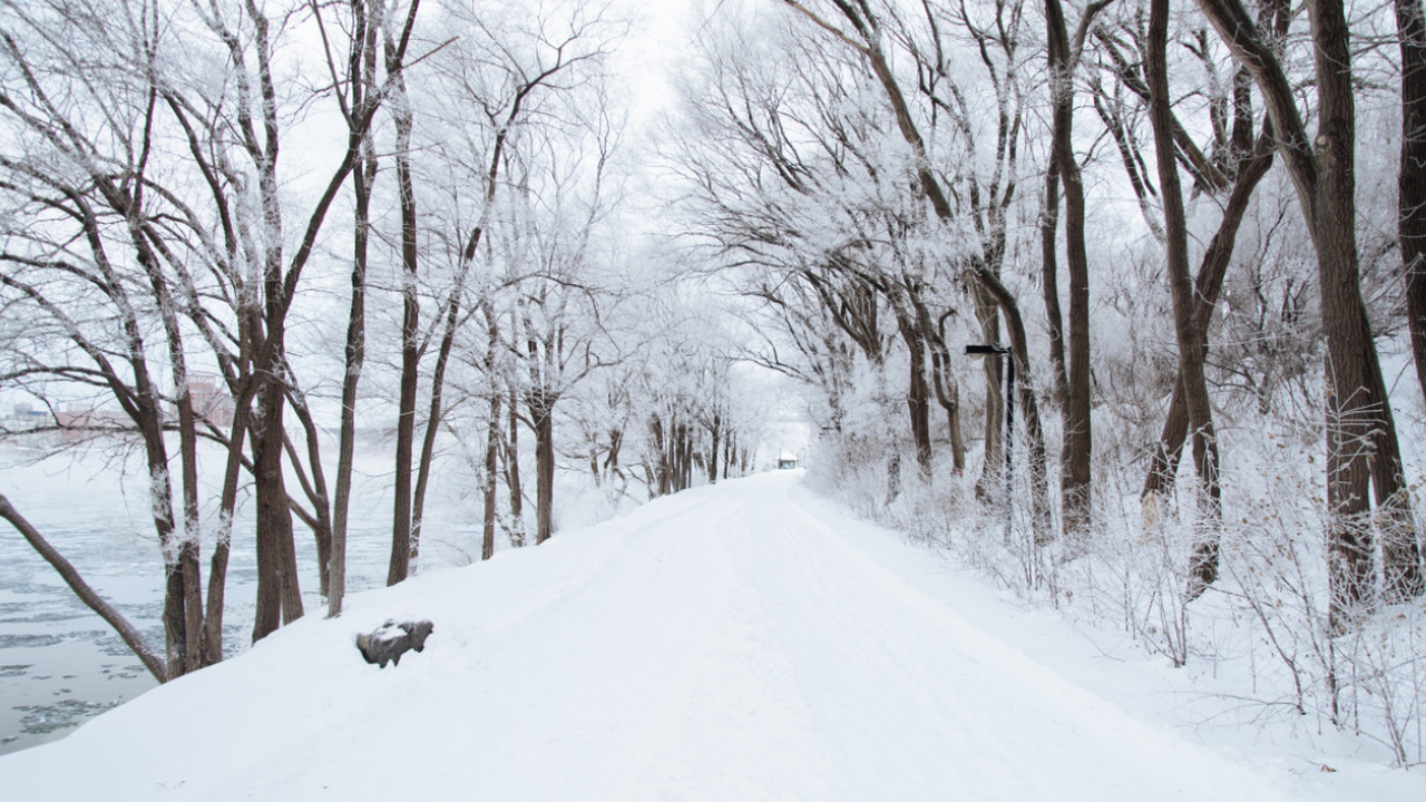 По предварительным оценкам климатологов, зима 2...