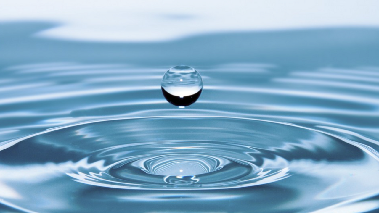 Ученые обнаружили, что вирусы активно влияют на очистку сточных вод Учёные выяснили, что вирусы, содержащиеся в сто...