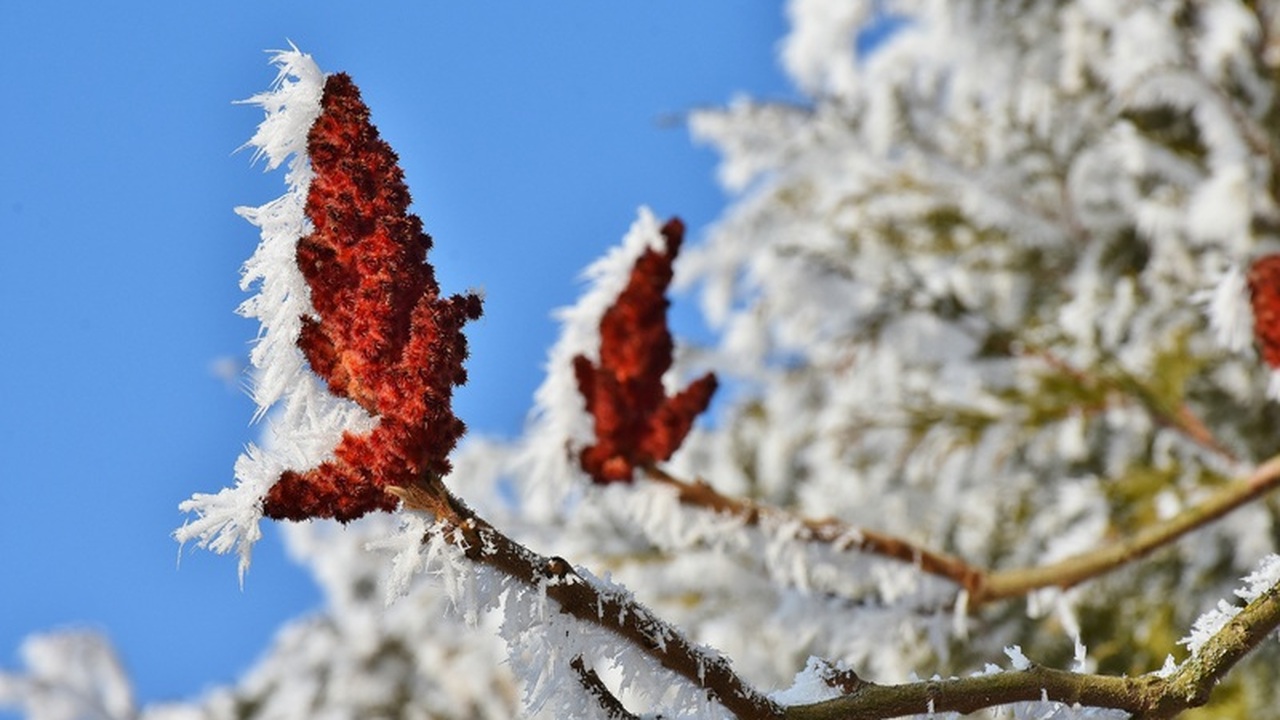 Новые расчеты метеорологических моделей указыва...
