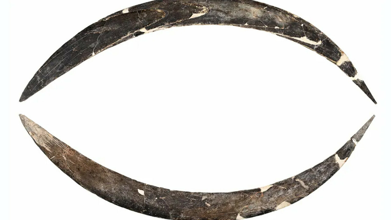 PLOS One: в Польше нашли 40000-летний бумеранг из кости мамонта в пещере Международная команда археологов из Италии, Шве...