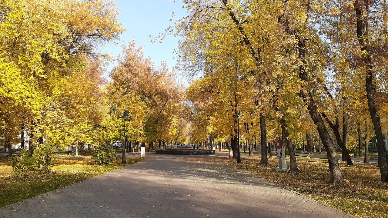В Ульяновской области 11 сентября ночью ожидают...