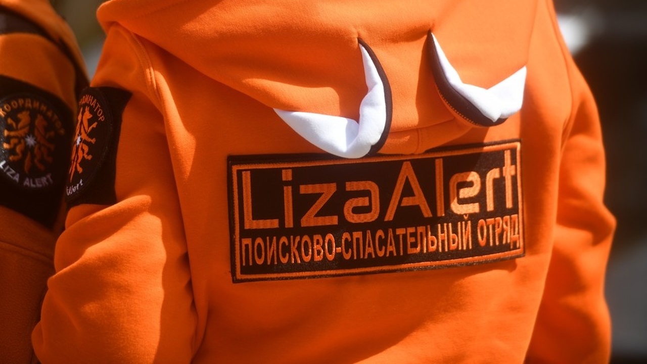 Добровольцы поисково-спасательного отряда «Лиза...