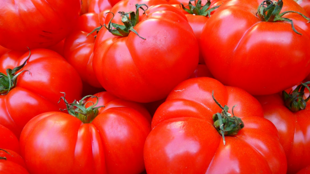 Устанете собирать урожай - закопайте под томаты в июне: назван продукт, превращающий вялые кусты в рабочий конвейер Банановая кожура — это не отходы, а настоящий п...