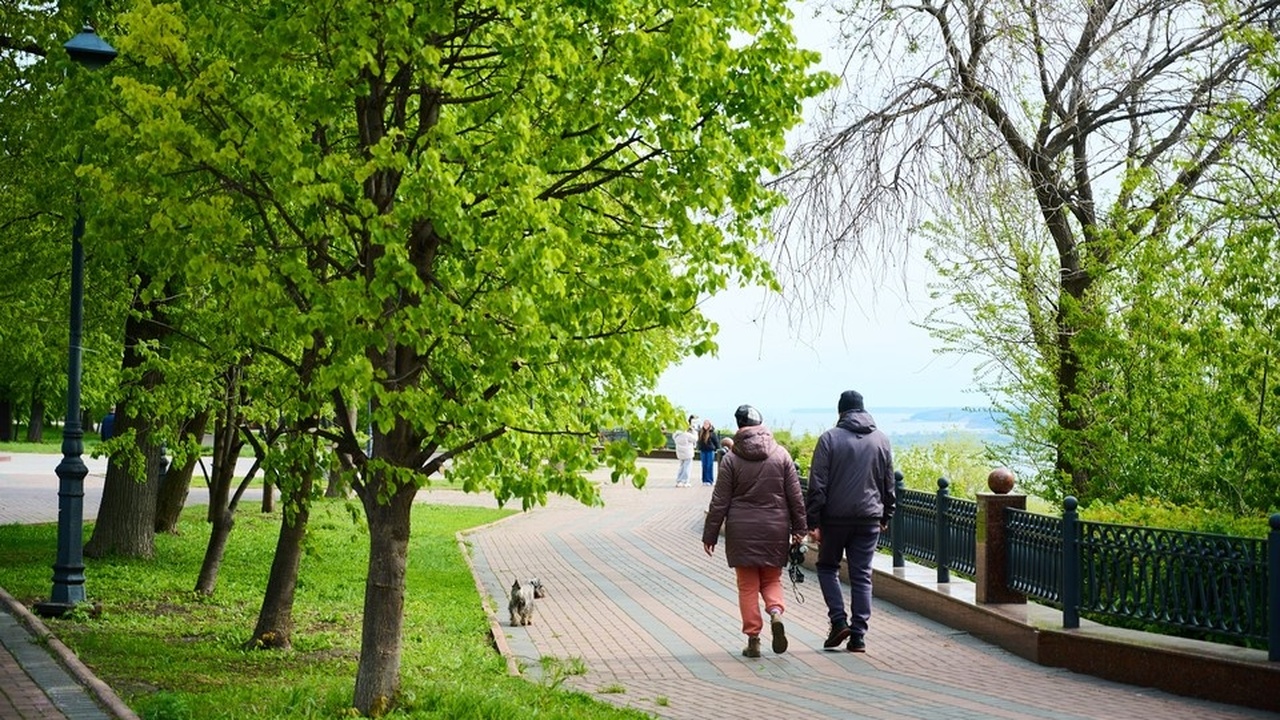 Центр Ульяновска обновят в границах Нового Венца В Ульяновске в 2026 году запланировано комплекс...