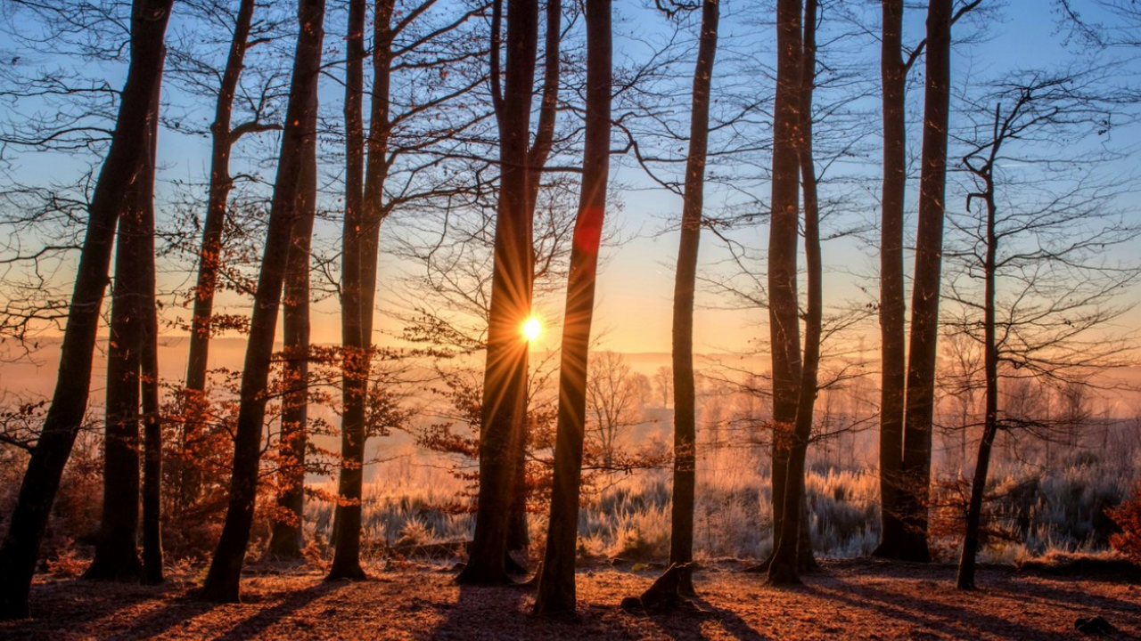 Предстоящая зима в России не принесёт устойчивы...