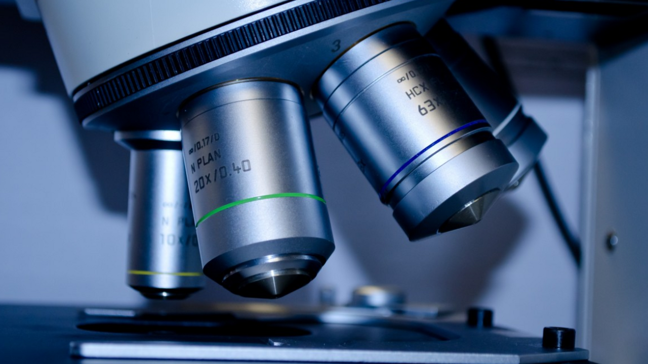 Австралийские исследователи совершили важный ша...