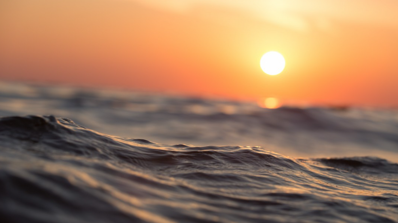 SA: геологи нашли морское дно возрастом 250 млн лет Ученые обнаружили фрагмент древней тектоническо...