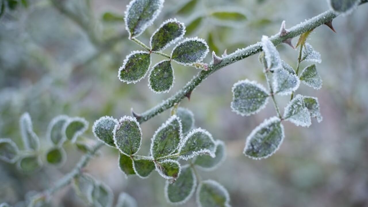Минувшая ночь принесла в Ульяновск аномальное п...