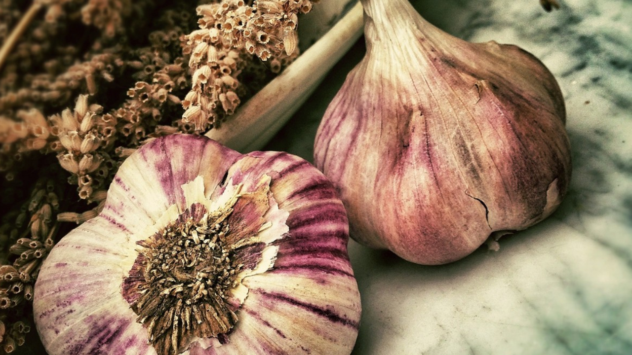 Американские специалисты из Медицинской школы У...