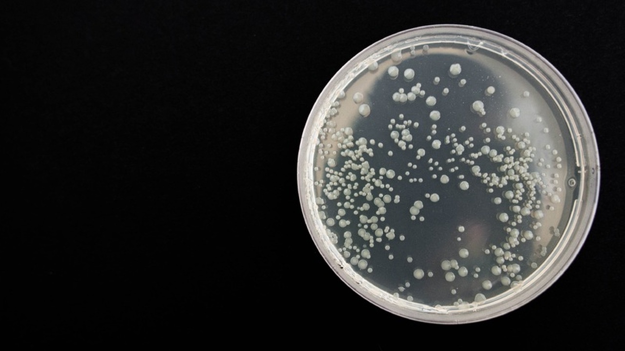 Японские ученые сделали шаг вперед в поиске нов...