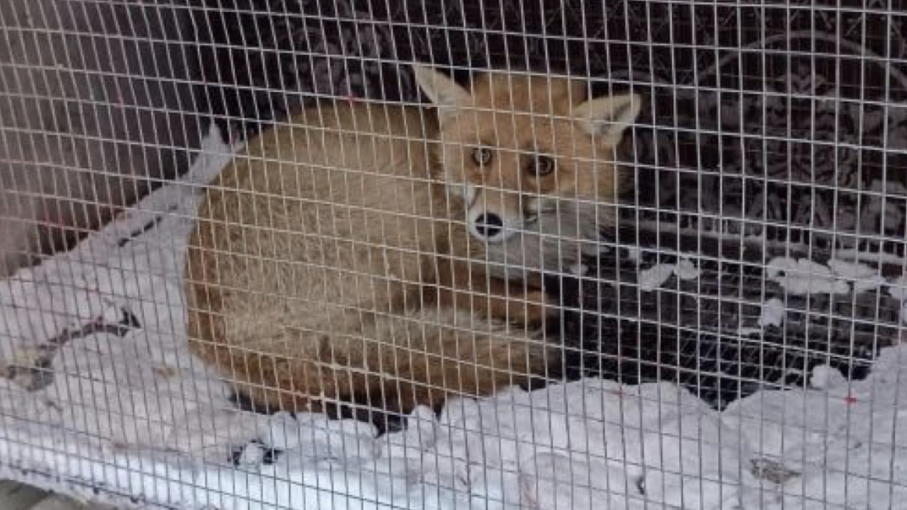 На территории аэропорта имени Н.М. Карамзина в ...