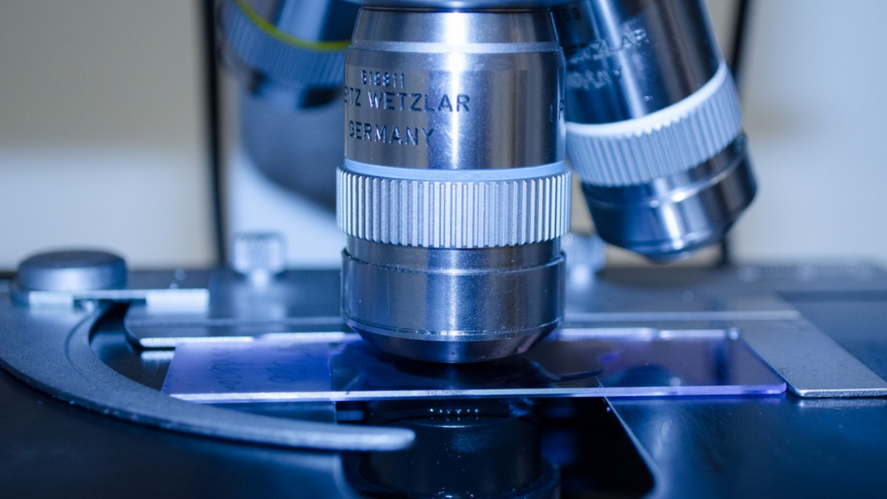 Золифлодацин получил одобрение FDA для лечения гонореи Новый антибиотик золифлодацин, недавно одобренн...