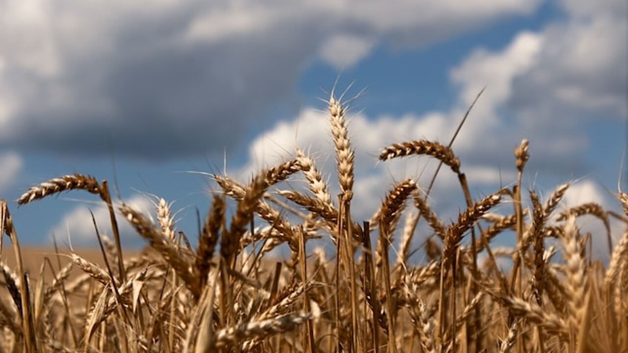 Российские специалисты из разных научных направ...