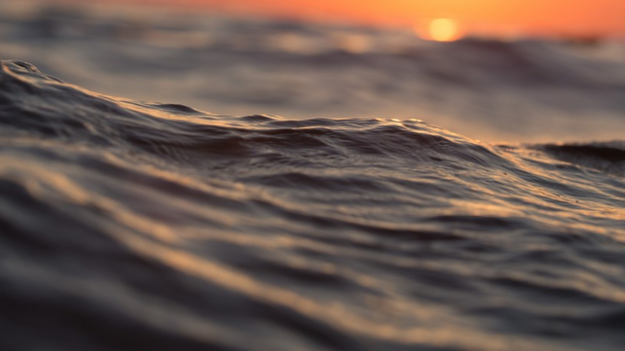 TechInsider: Мировой океан прошел критическую отметку Международная команда экологов провела масштабн...