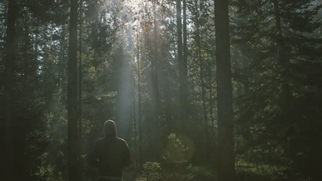 Учёные изучают зону в Прикамье с нарушением восприятия времени В Пермском крае исследователи вновь обратили вн...