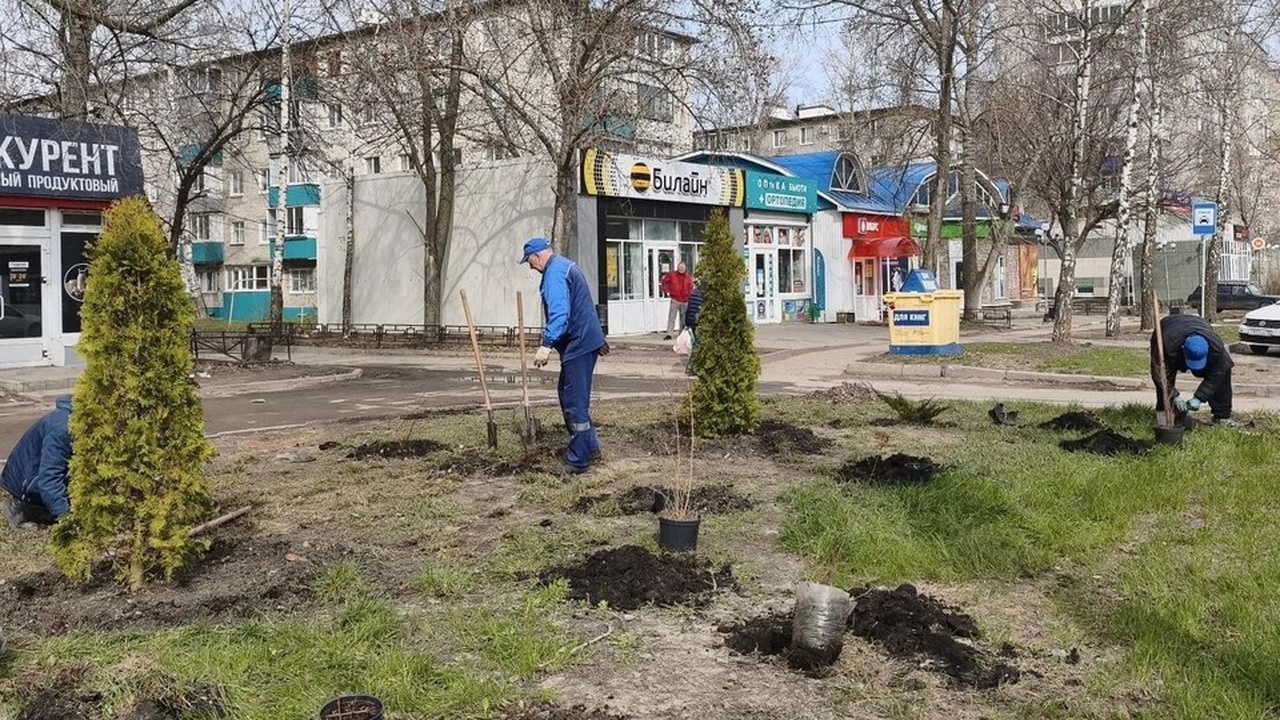8 апреля в Ульяновске начали сезонные работы по...