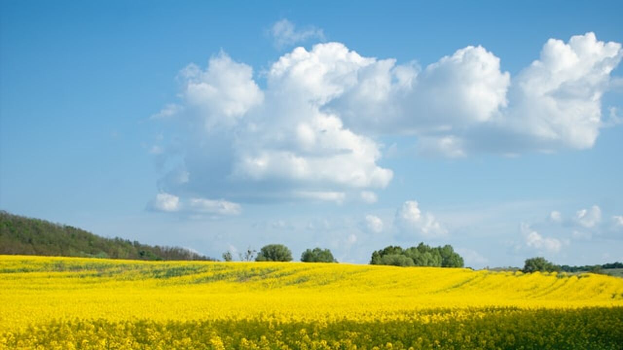 Средства противовоздушной обороны уничтожили пя...