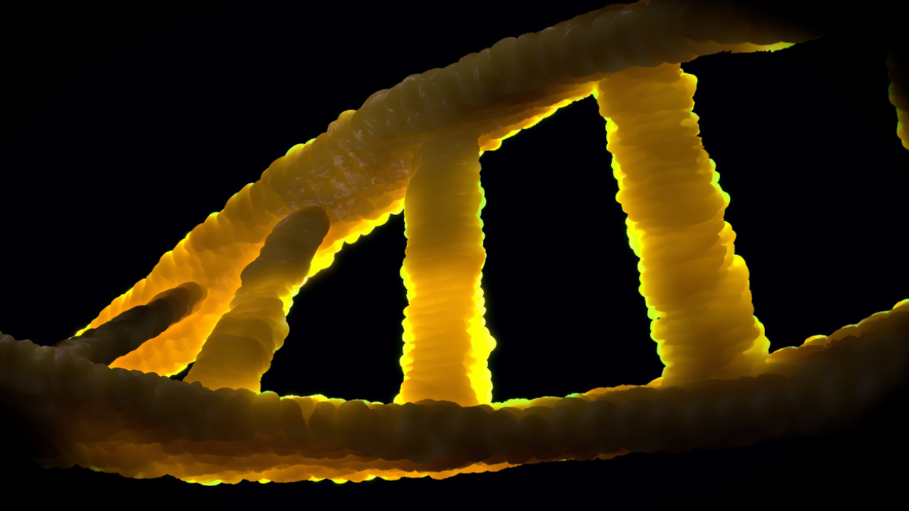 Ученые нашли у россиян ген, который снижает «плохой» холестерин Российские генетики провели масштабное исследов...
