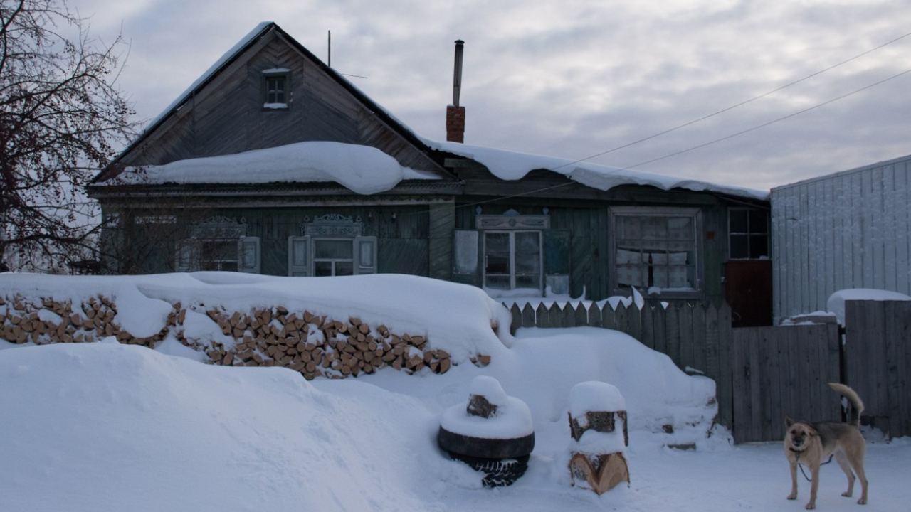 Печальная правда о деревенском быте открылась нам только после переезда из города: ответ лежал на поверхности, но мы игнорировали его Эксперты объяснили, почему личное хозяйство в д...