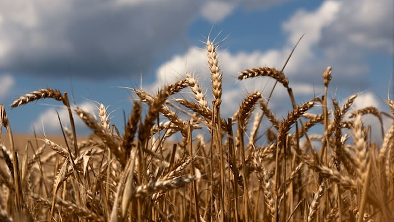 Ульяновская область занимает седьмое место в Пр...