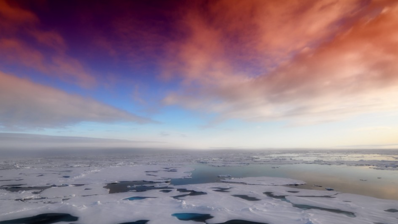 Международное исследование показало резкий рост...