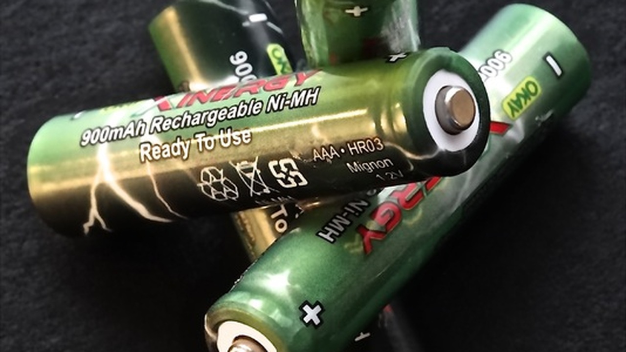 В Сингапуре началось массовое производство биор...