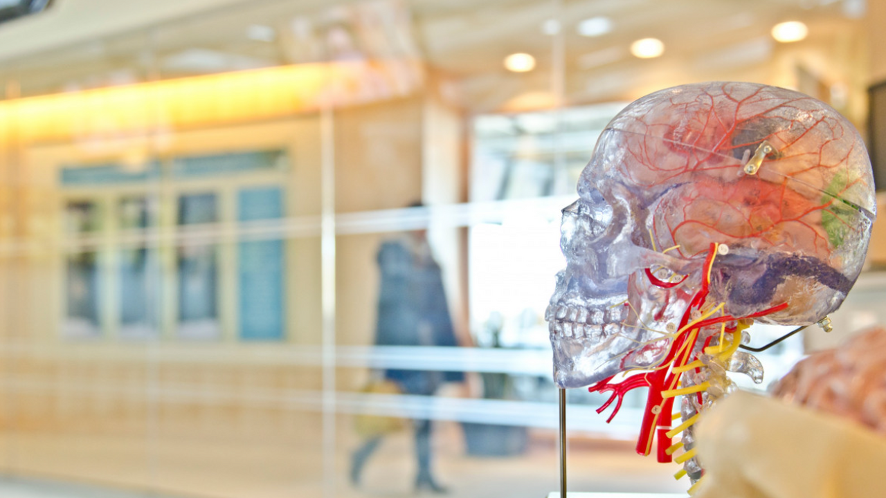 Томские ученые создали 3D-модель для борьбы с метастазами Ученые Сибирского государственного медицинского...