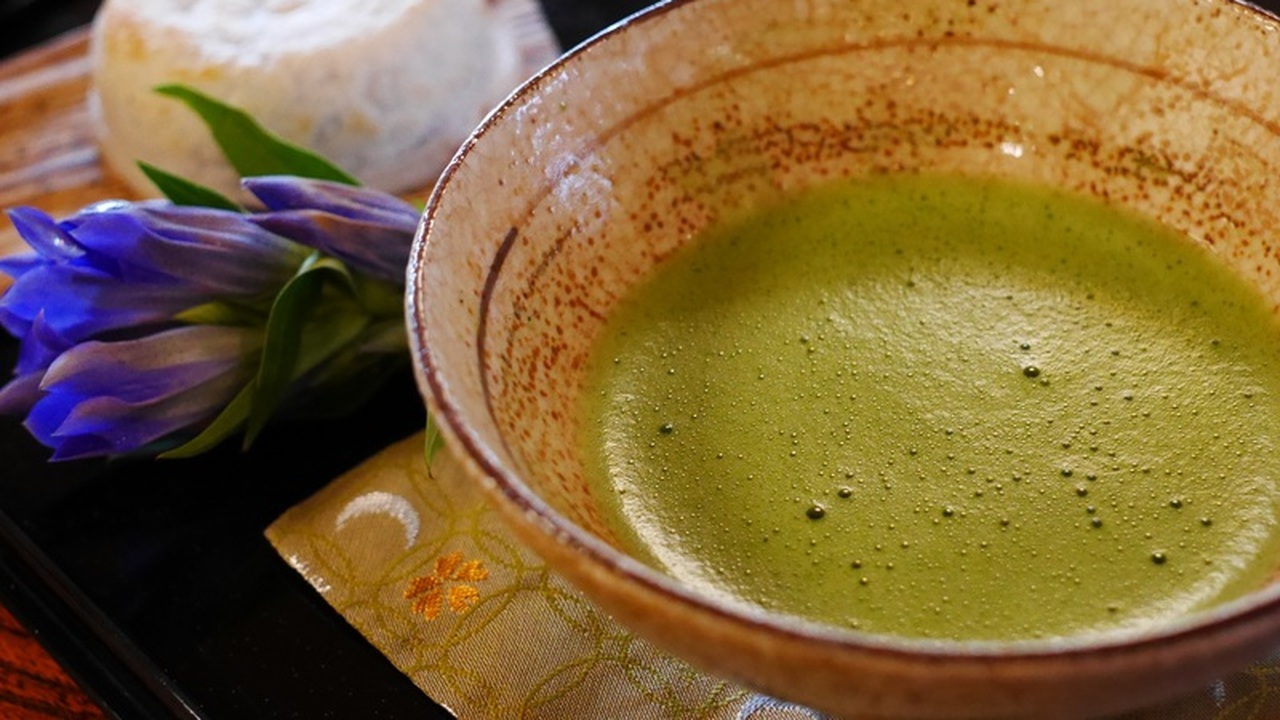 Чай матча улучшает когнитивные функции и снижает стресс В последние годы порошковый зеленый чай матча с...