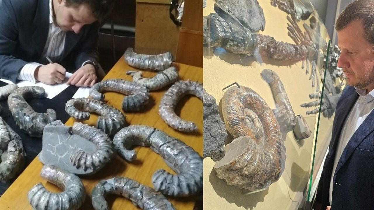Уникальные находки из Ульяновской области получ...