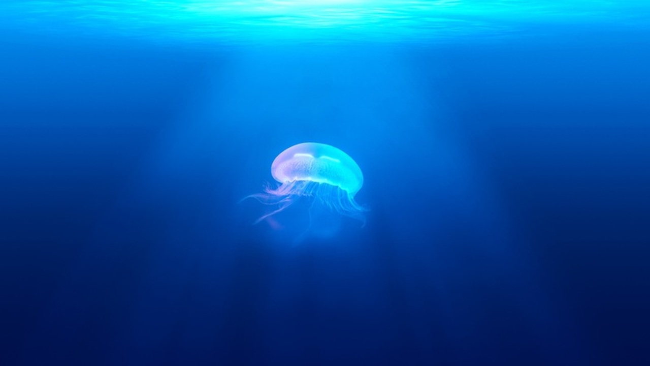 Недавнее исследование, проведенное специалистам...