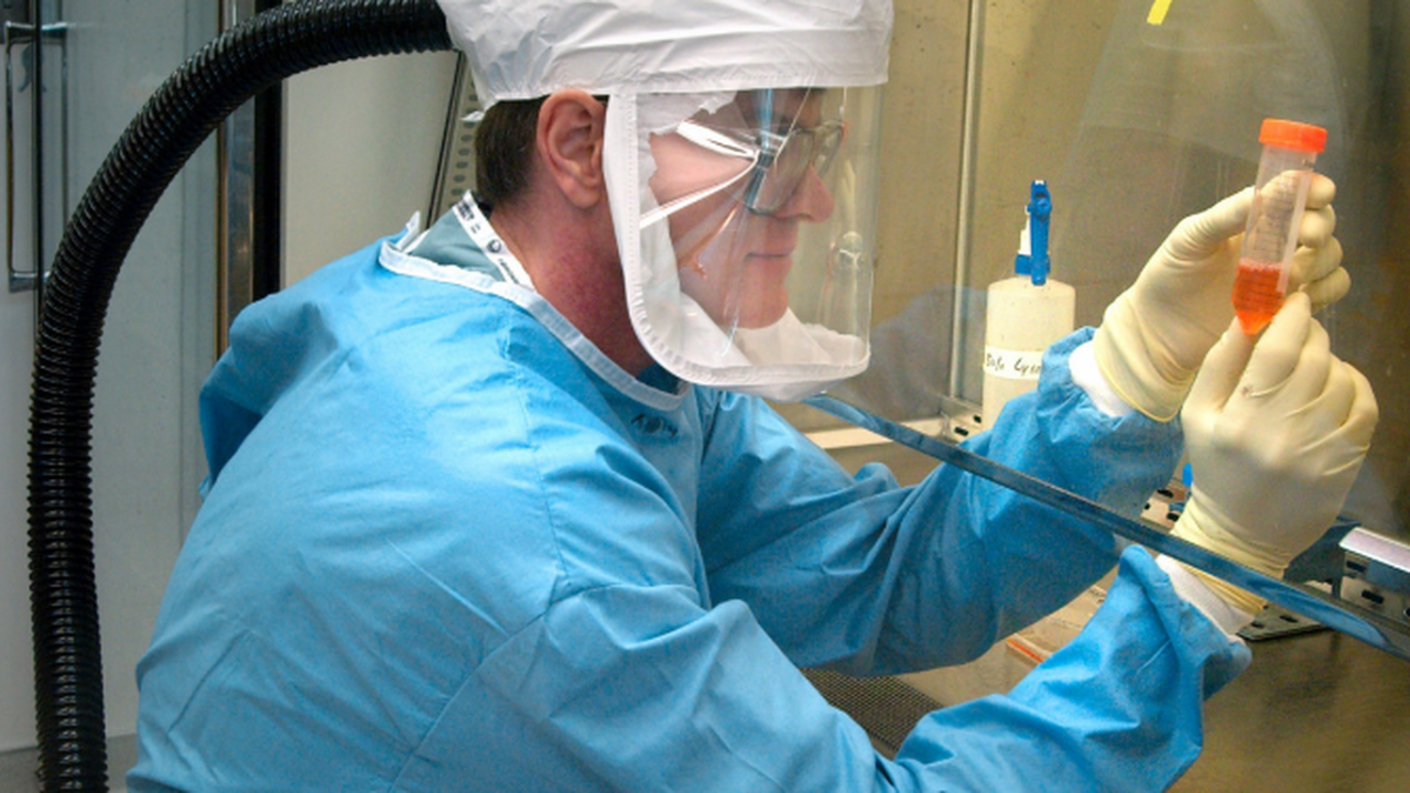 Ученые нашли в морской бактерии основу для лекарства от сепсиса Учёные из Тихоокеанского института биоорганичес...