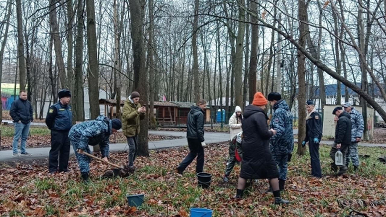 В Парке Победы Ульяновска посадили новые ранетки Сегодня, 14 ноября, в Ульяновске произошло собы...