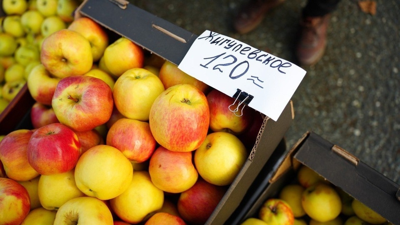 В Ульяновск состоялась первая в этом году весен...