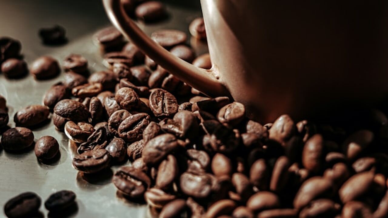 В провинции Чжэцзян туристам предлагают америка...