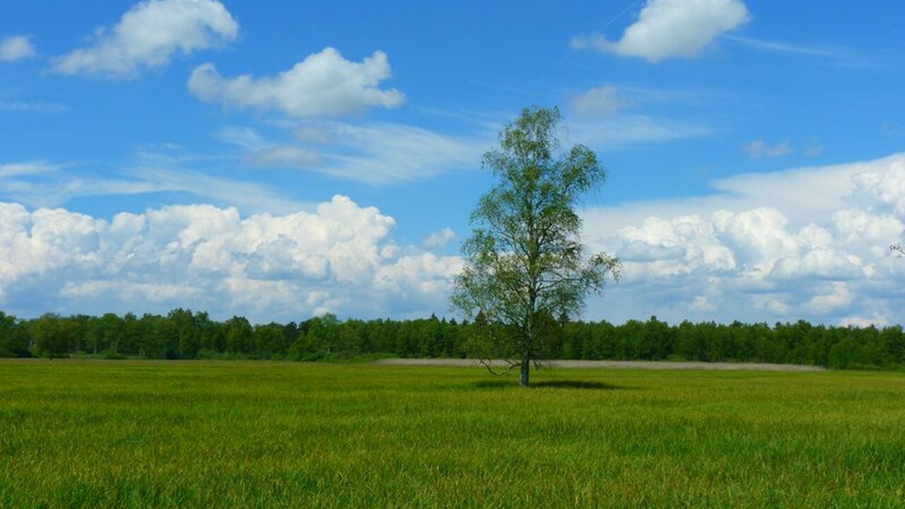 Двое руководителей столичных компаний получили ...