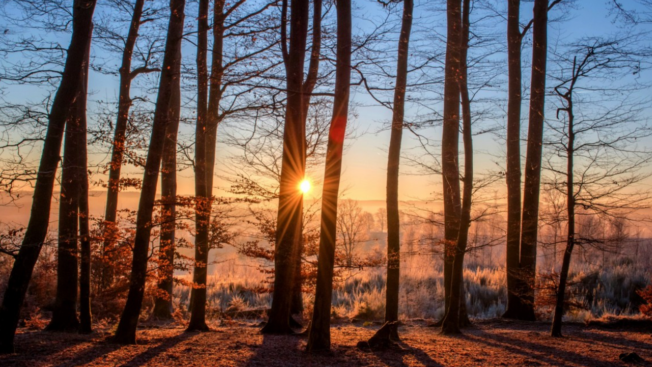 Международная команда учёных из Калифорнийского...