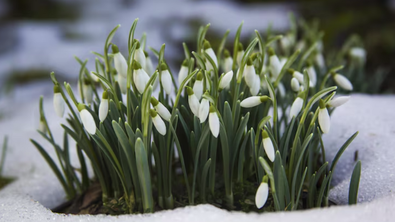 В рамках правового регулирования, касающегося о...