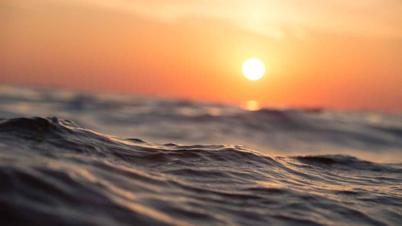 Ученые обнаружили на дне Атлантического океана ...