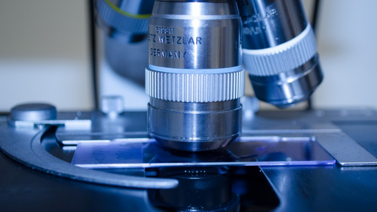 Археологи в юго-восточных регионах Китая обнару...